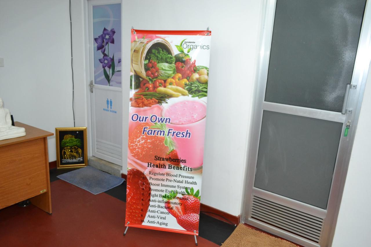 Olive Hill Top Hotel 하푸탈레 외부 사진