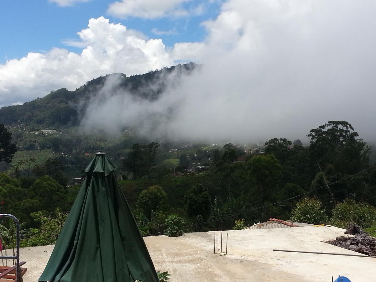 Olive Hill Top Hotel 하푸탈레 외부 사진